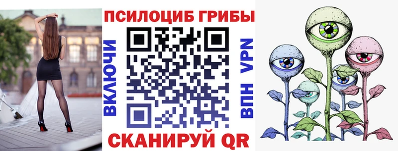 купить закладку  Спасск  Псилоцибиновые грибы MAGIC MUSHROOMS 